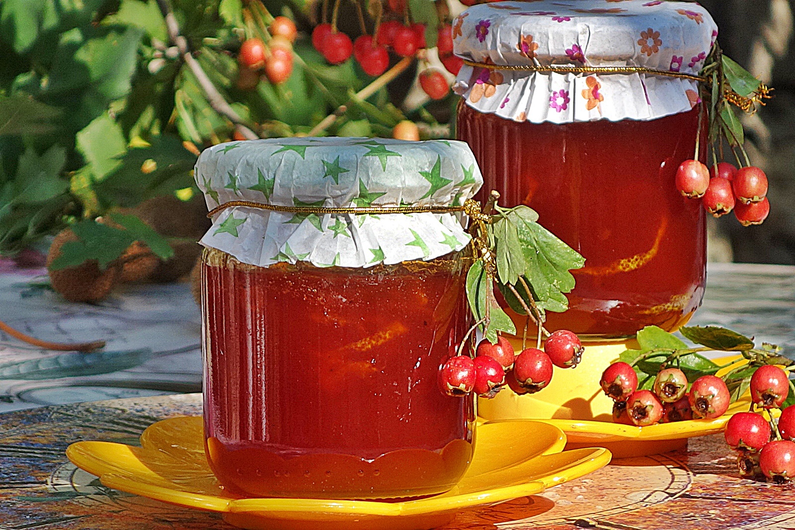 Dulceata de paducel (gherghine)