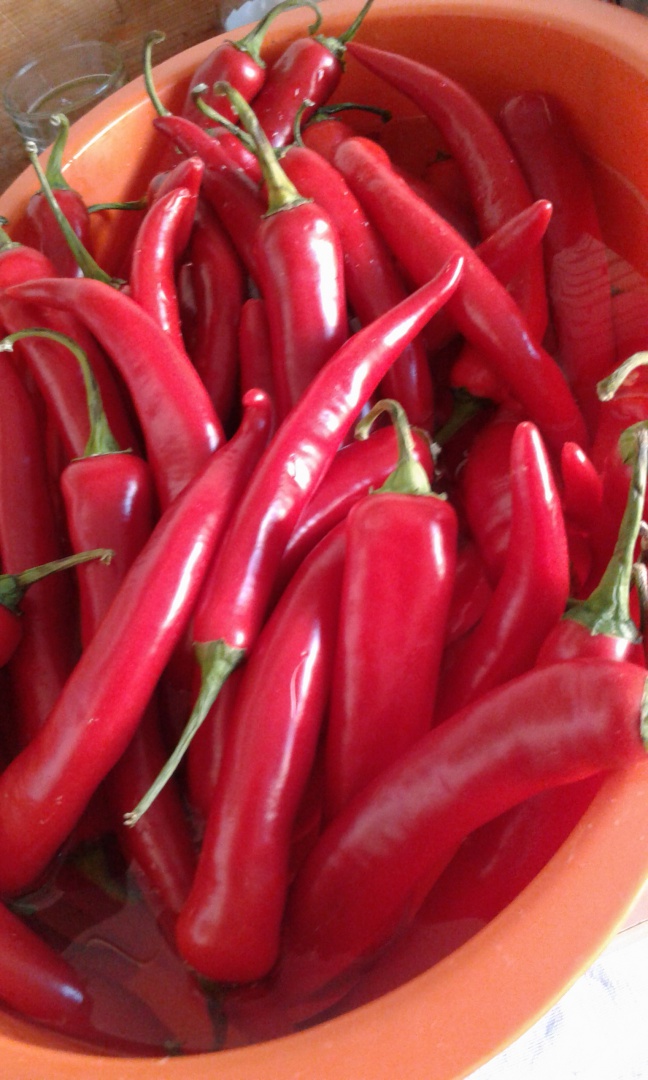 Dulceata de ardei iute rosu