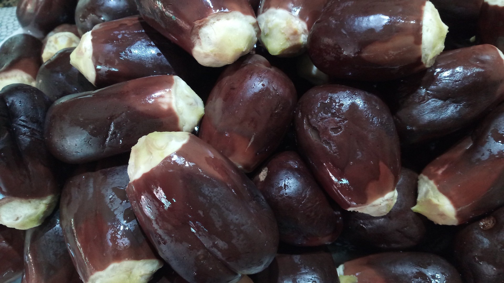 Magdus (vinete mici umplute si murate in ulei de masline)