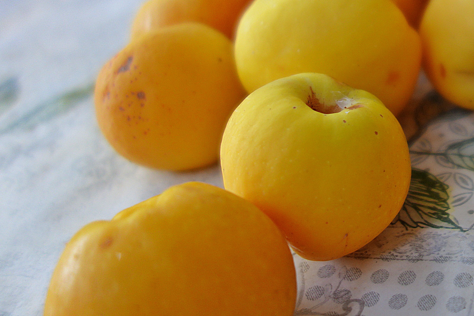 Dulceata din merisoare padurete