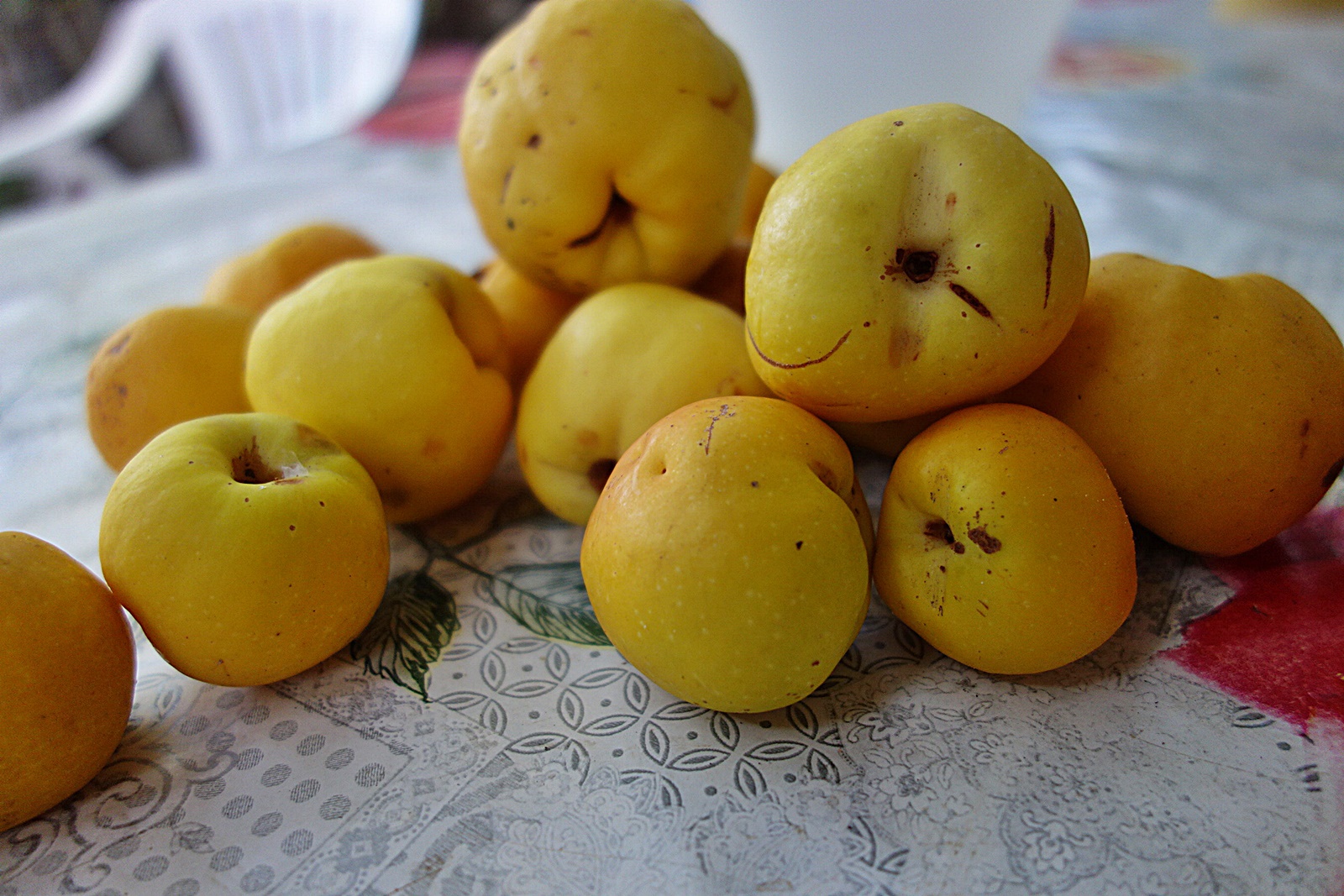 Dulceata din merisoare padurete