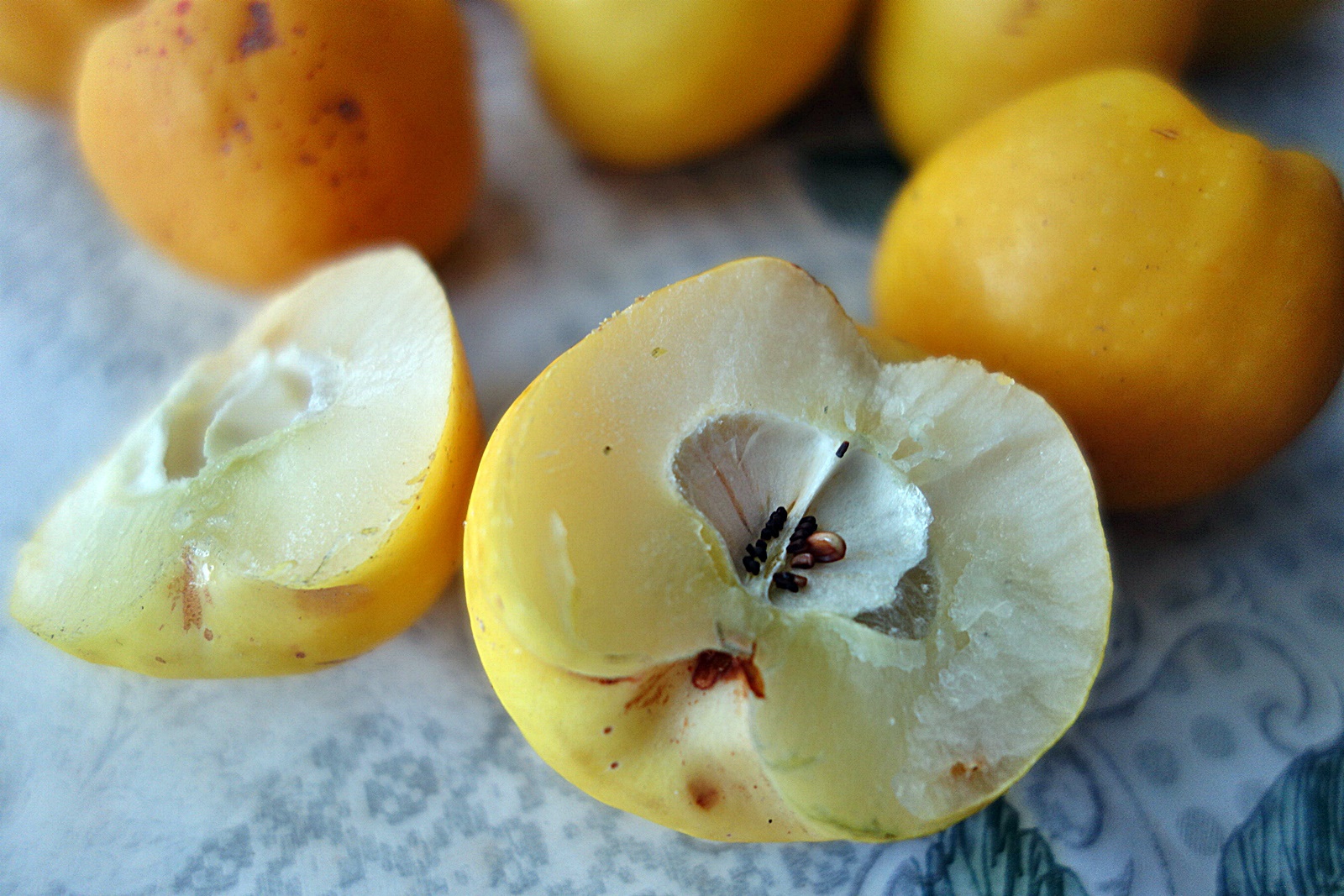 Dulceata din merisoare padurete