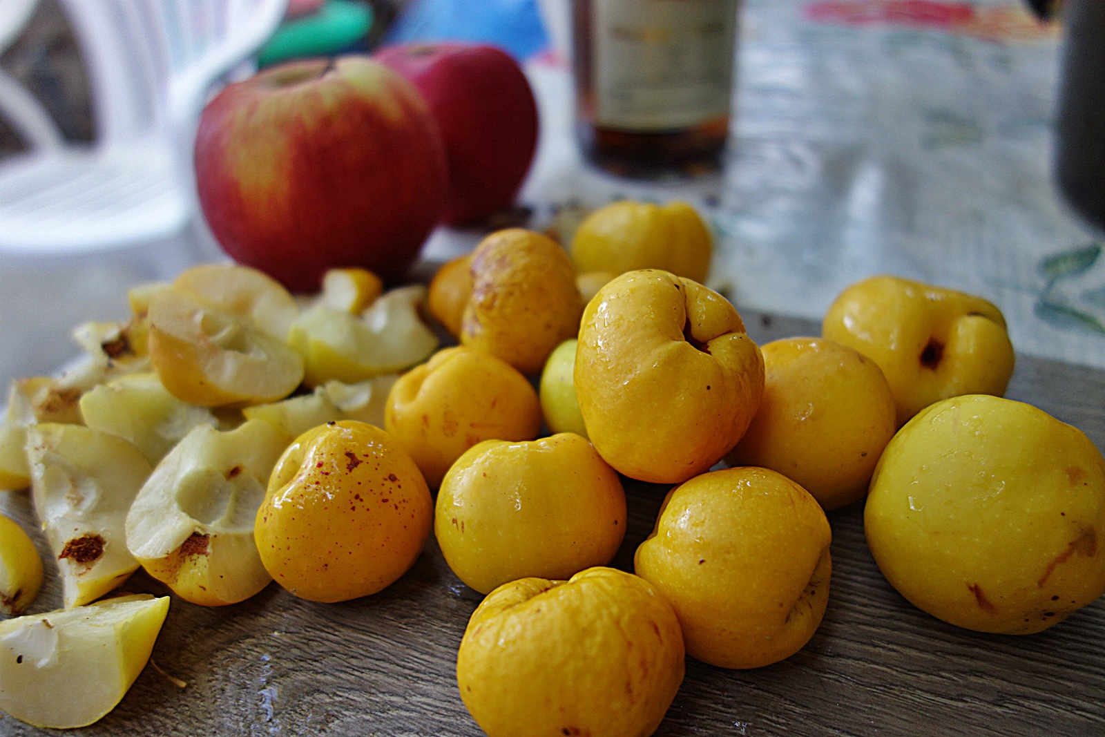 Dulceata din merisoare padurete