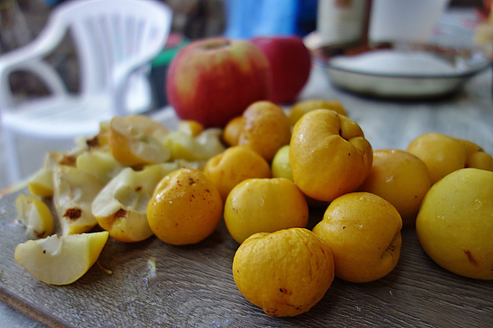 Dulceata din merisoare padurete