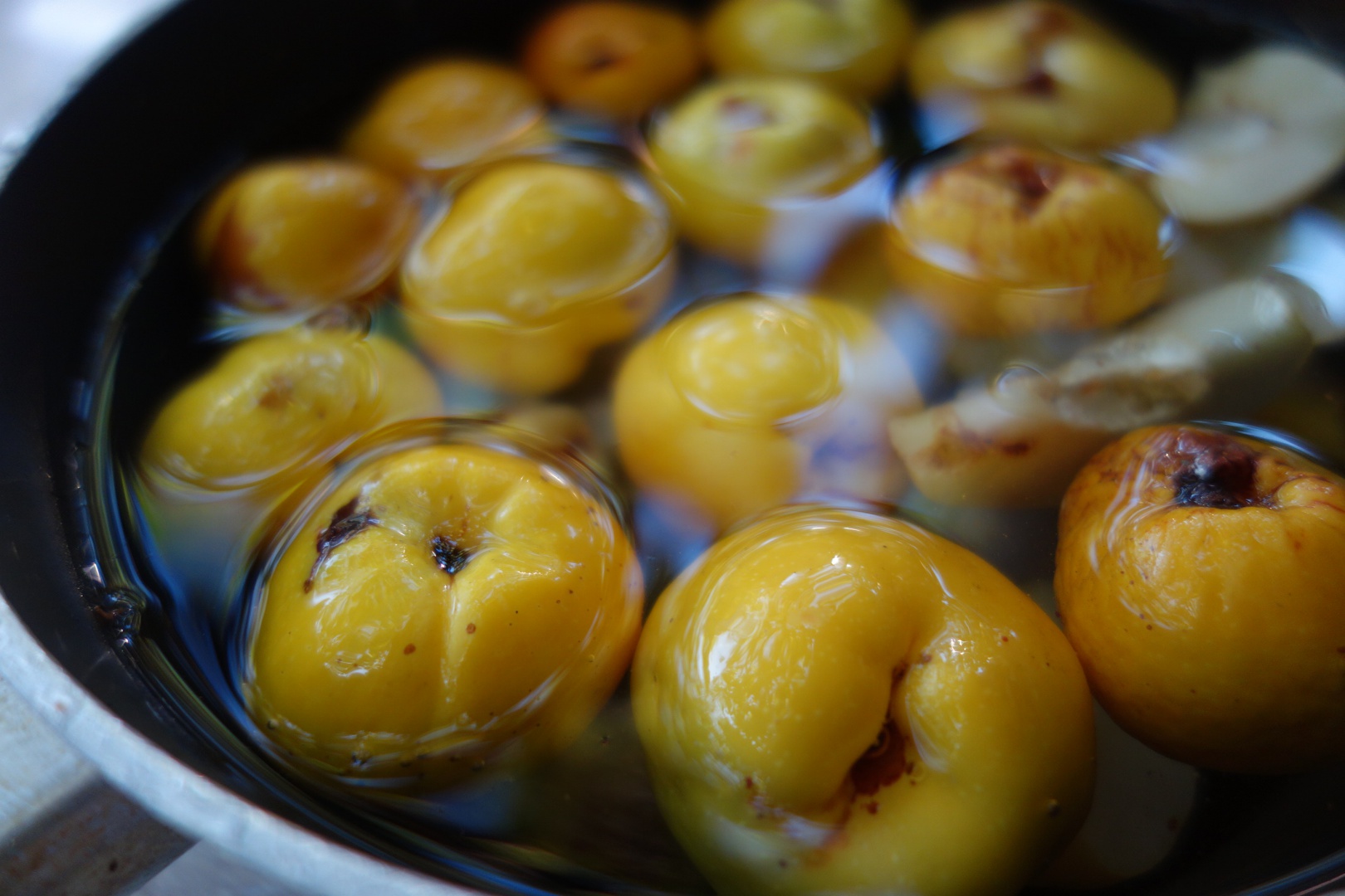 Dulceata din merisoare padurete