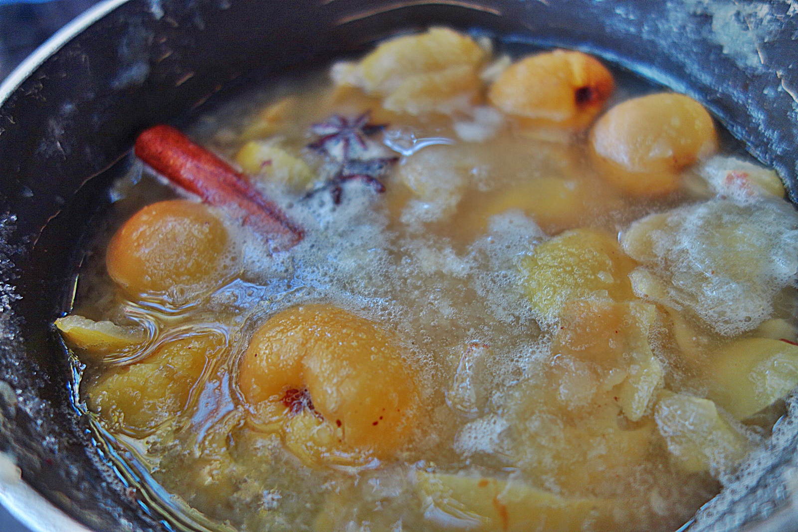 Dulceata din merisoare padurete