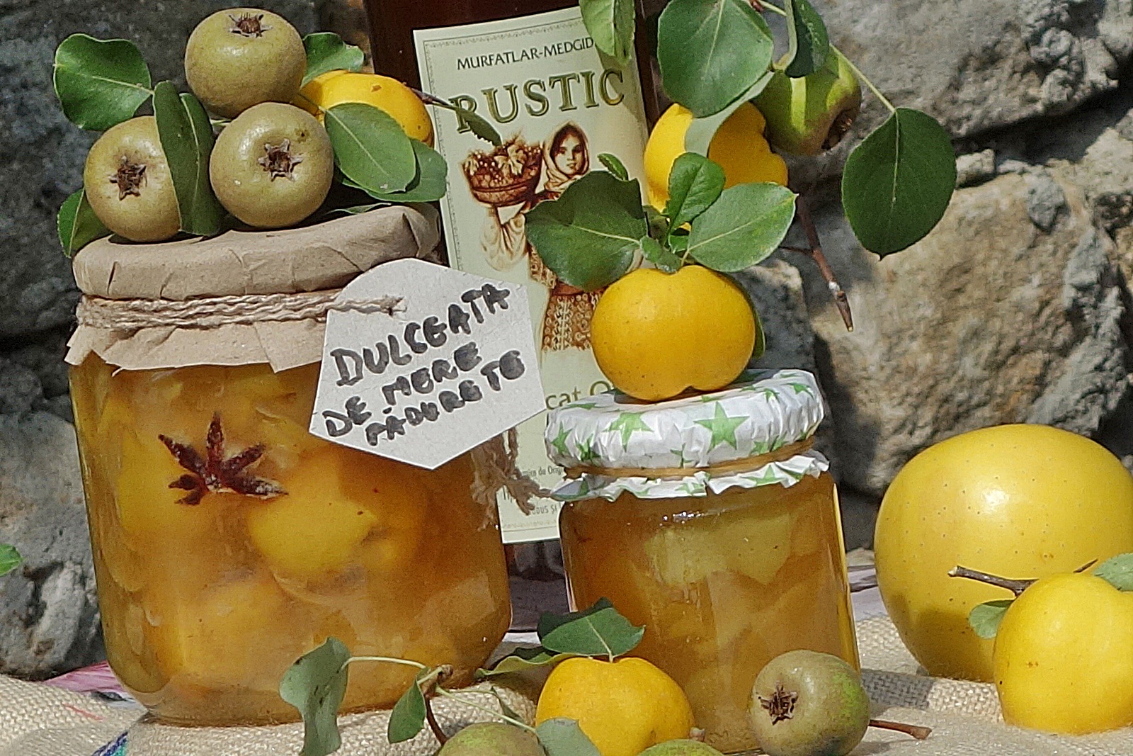 Dulceata din merisoare padurete