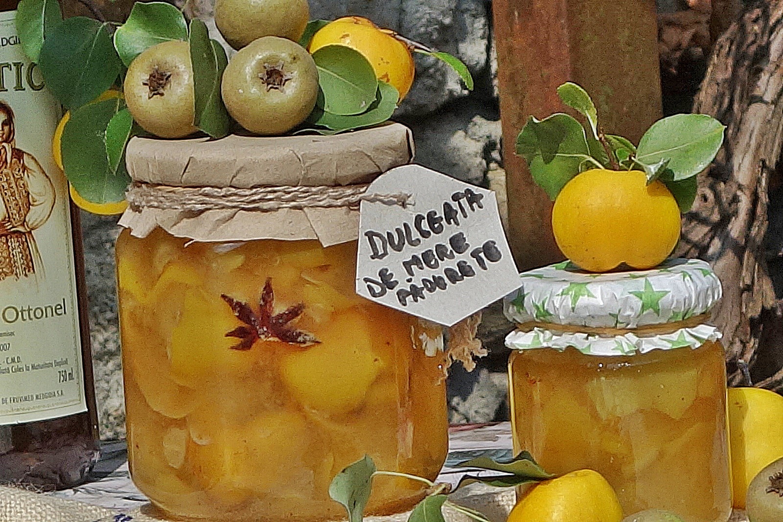 Dulceata din merisoare padurete