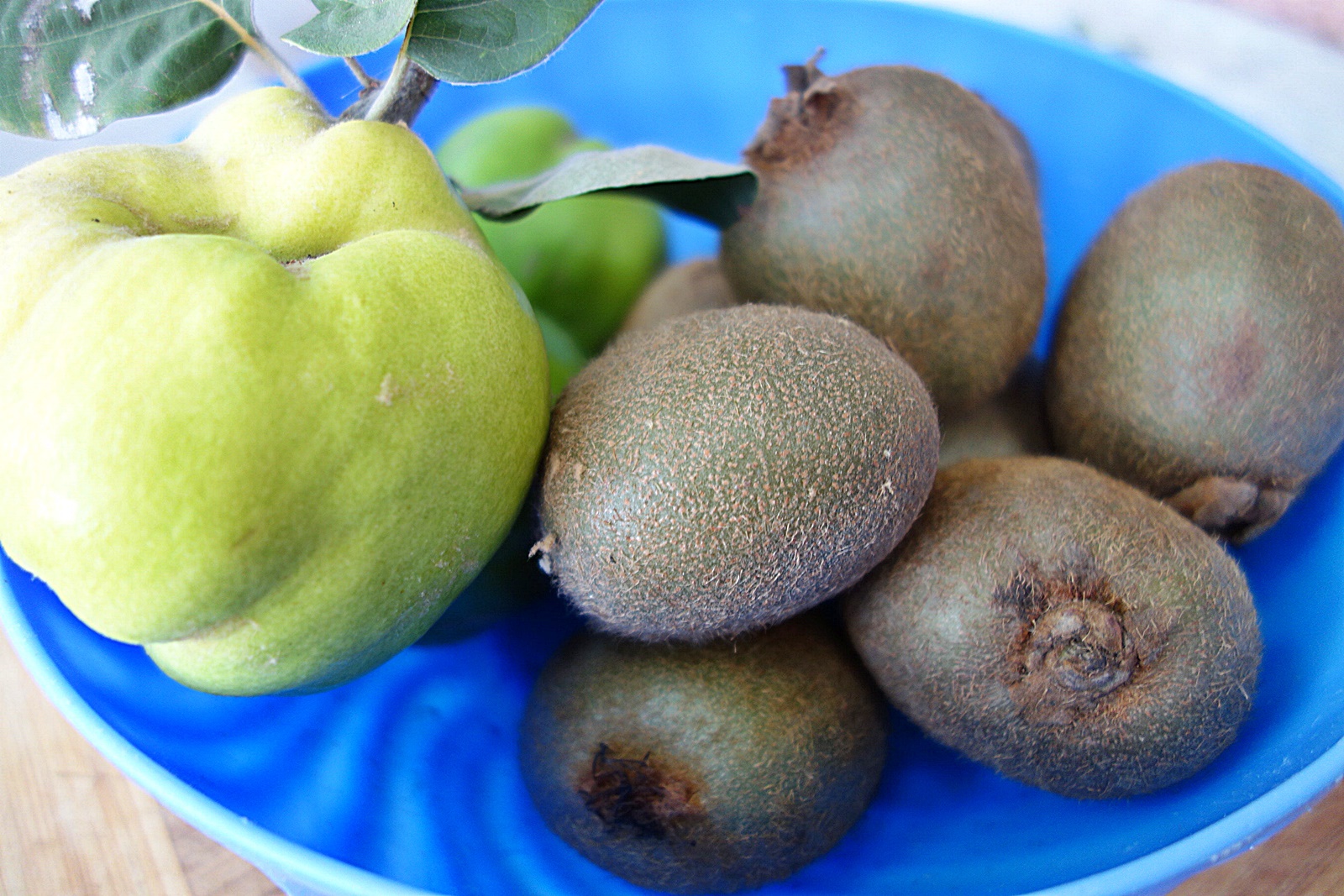 Kiwi in peltea de gutui