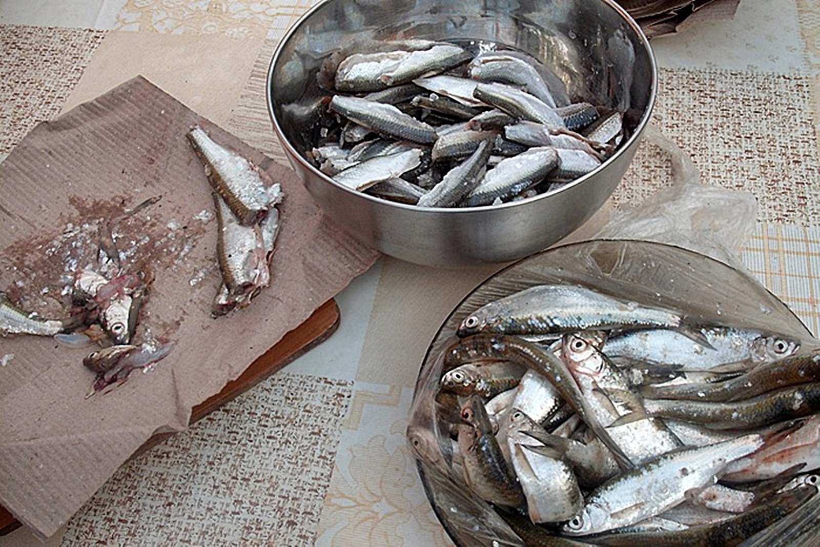 Obletel de Dunare marinat in otet