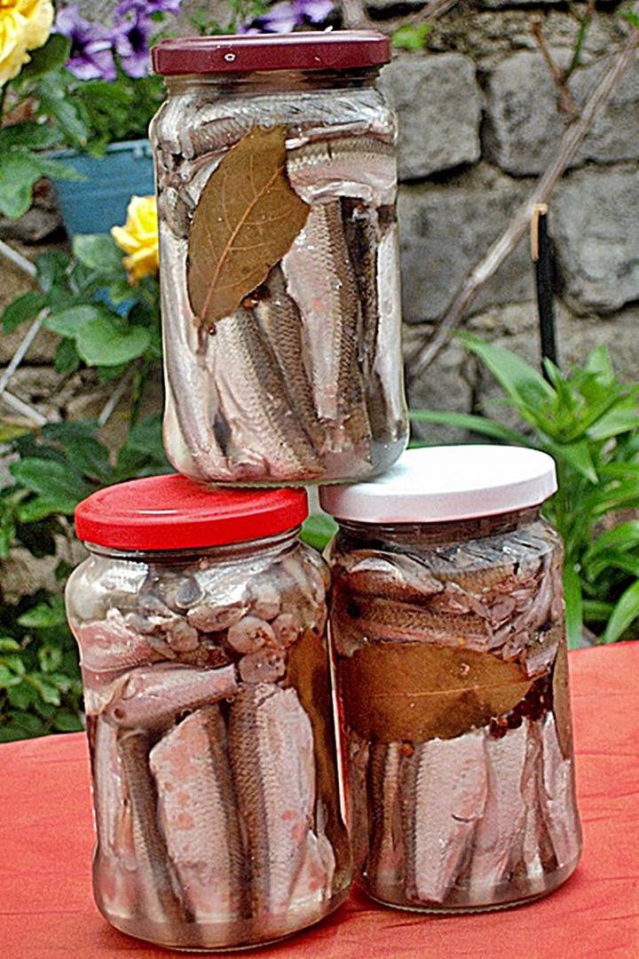 Obletel de Dunare marinat in otet