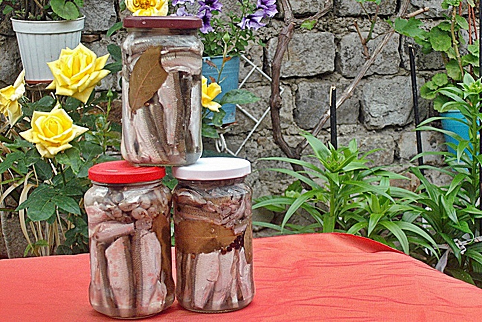 Obletel de Dunare marinat in otet