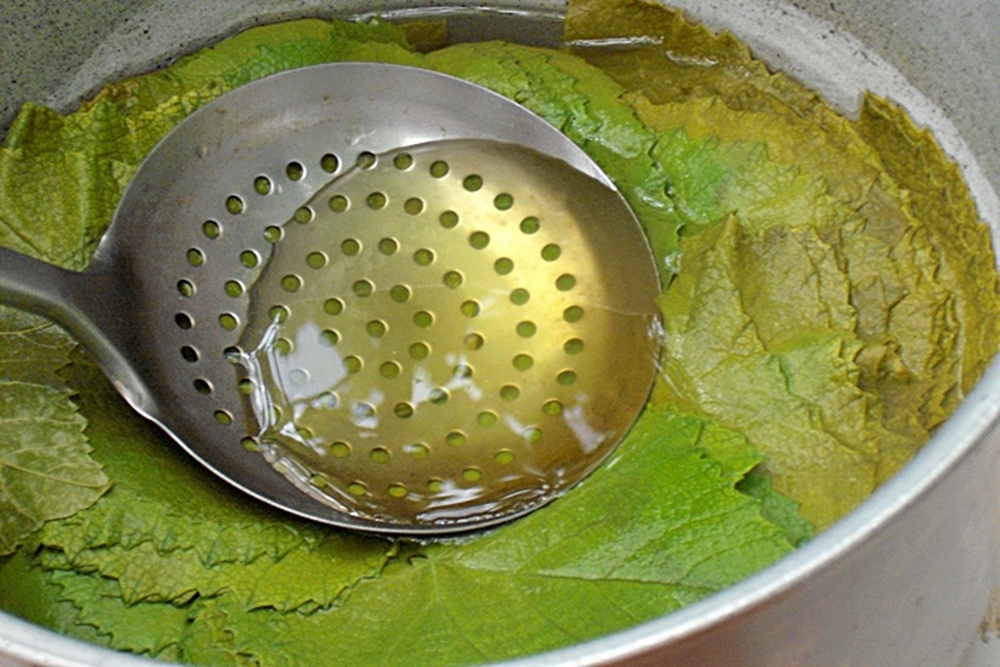 Frunze de vita de vie conservate pentru iarna