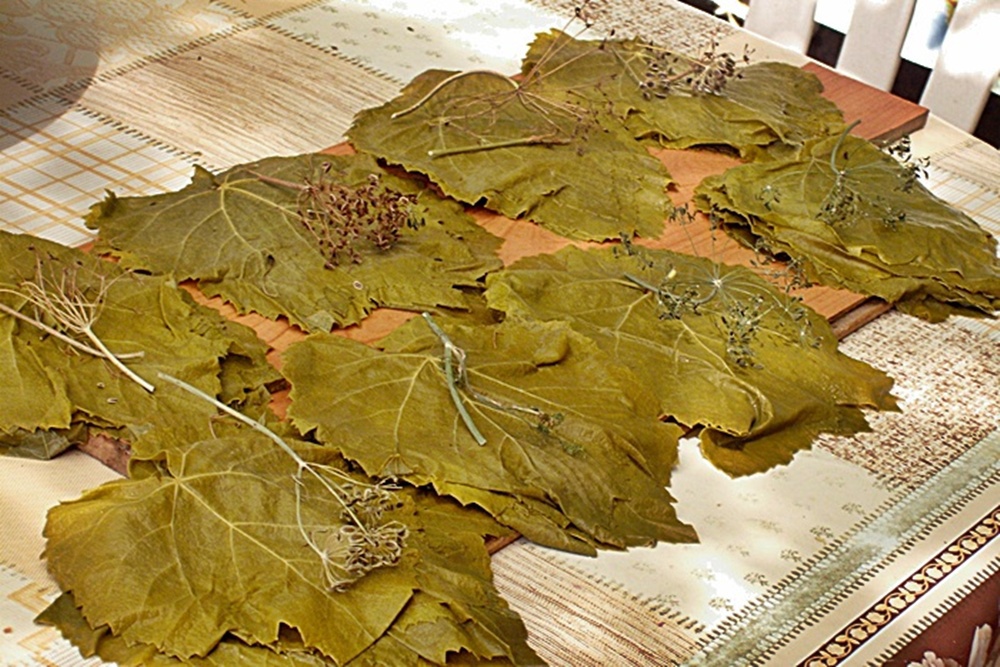 Frunze de vita de vie conservate pentru iarna