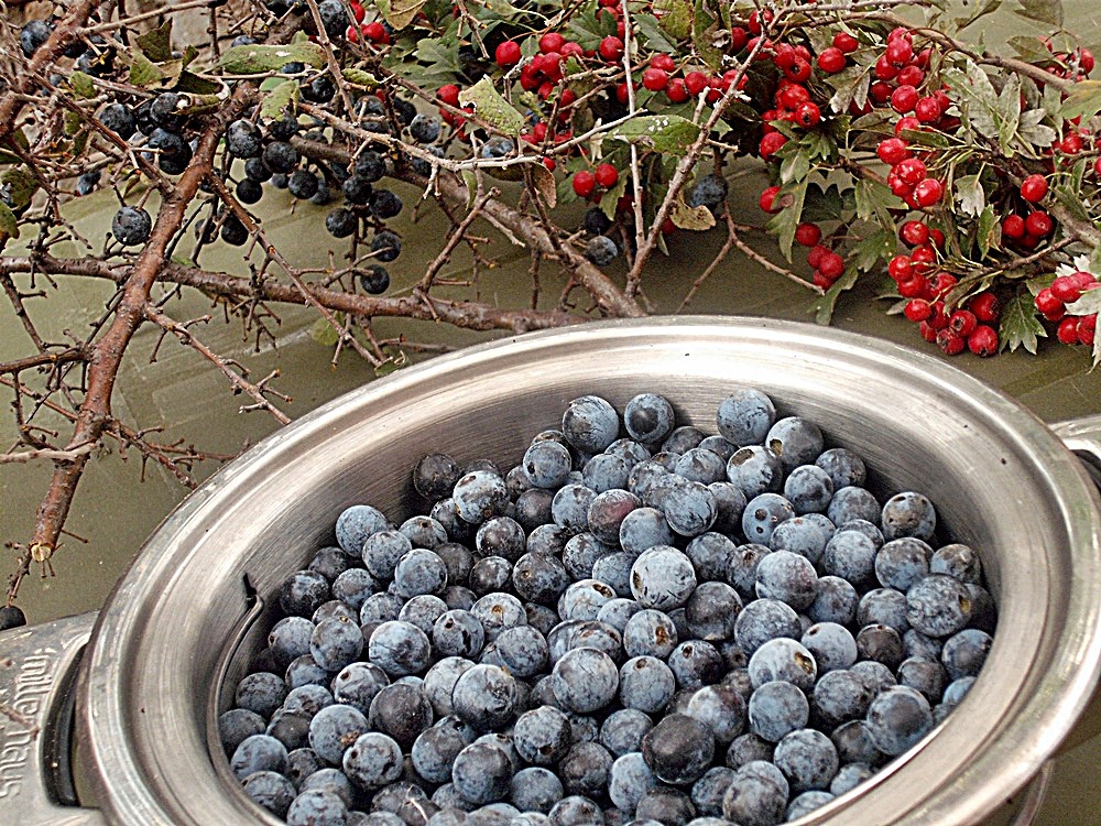 Pasta de porumbe (poroambe)