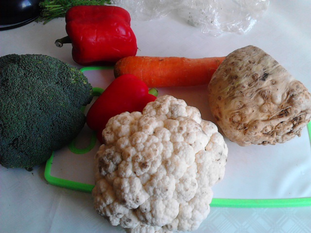 Piept de rata cu legume