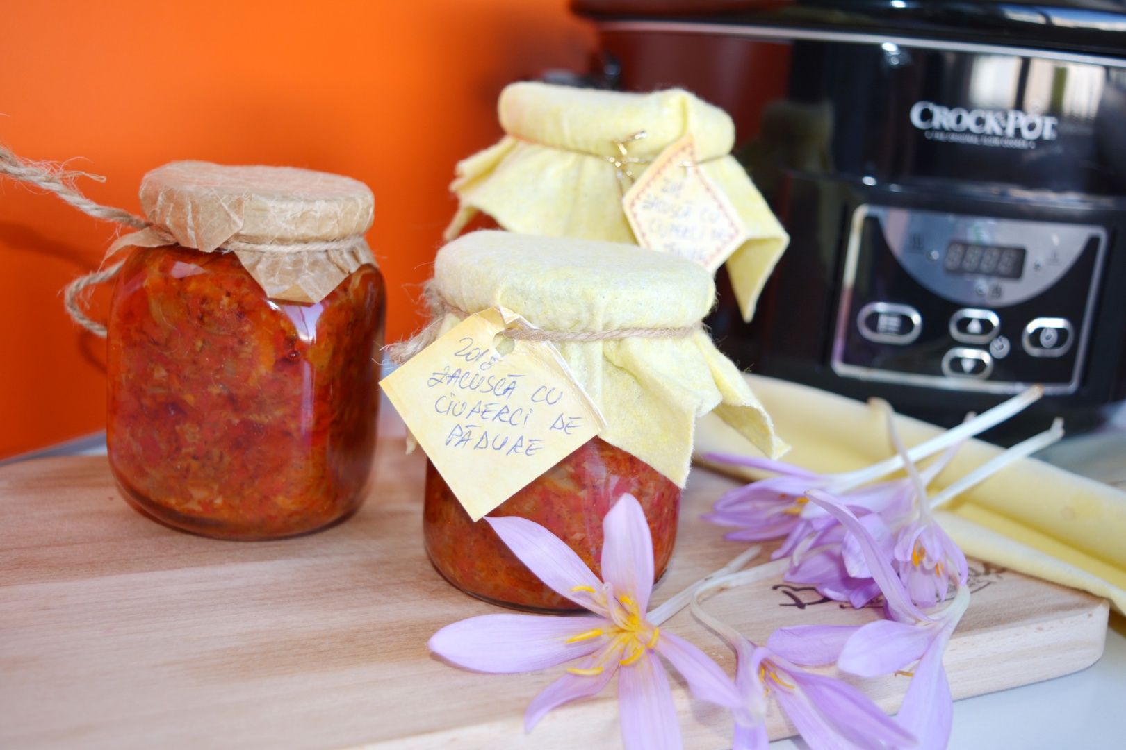 Zacusca cu ciuperci de padure la slow cooker Crock-Pot