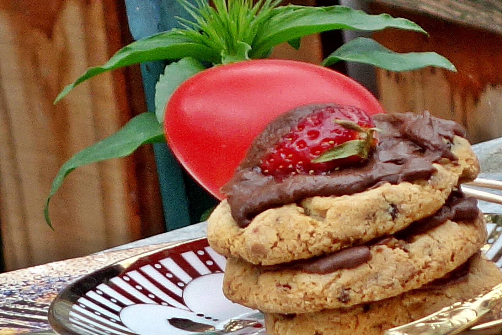 Fursecuri fragede cu merisoare uscate si glazura de ciocolata