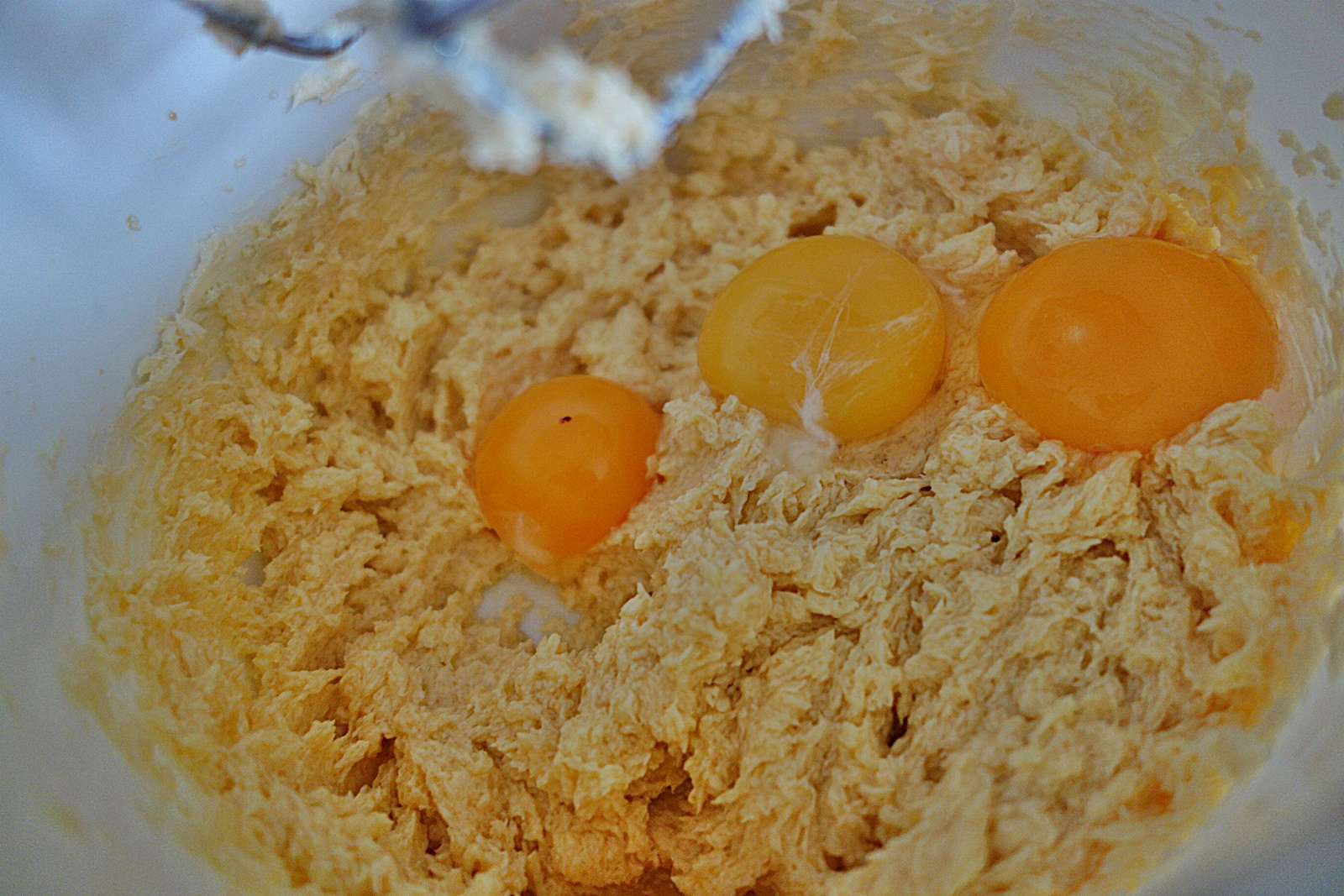 Fursecuri fragede cu merisoare uscate si glazura de ciocolata