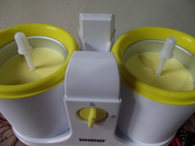 Inghetata cu mango si zmeura