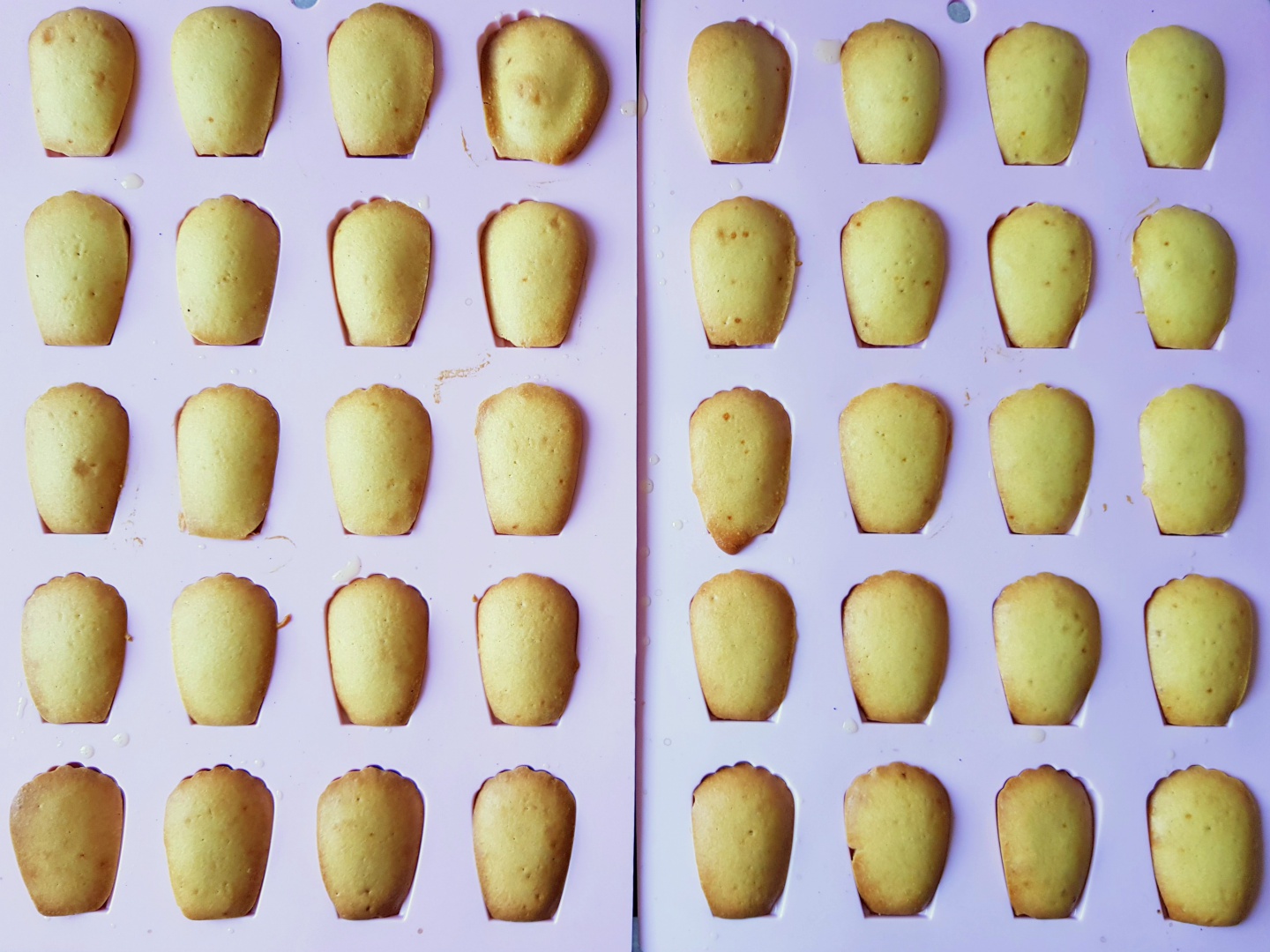 Madlene cu suc de clementine