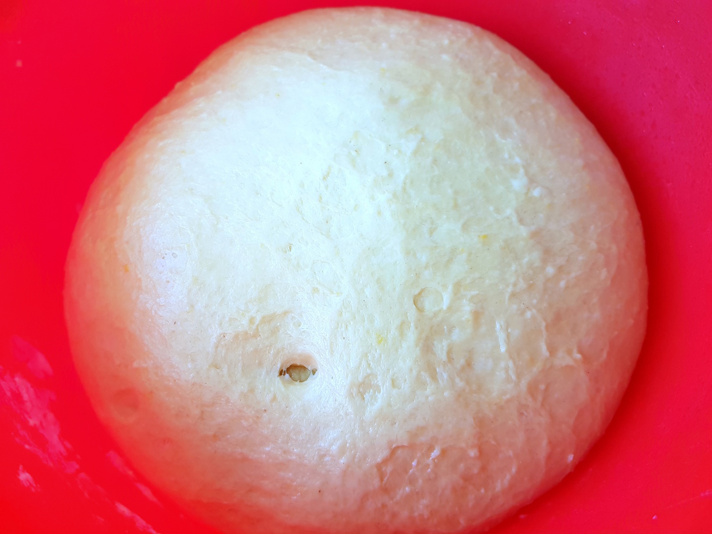 Cozonaci cu aluat dospit la rece, umpluti cu ciocolata si rahat