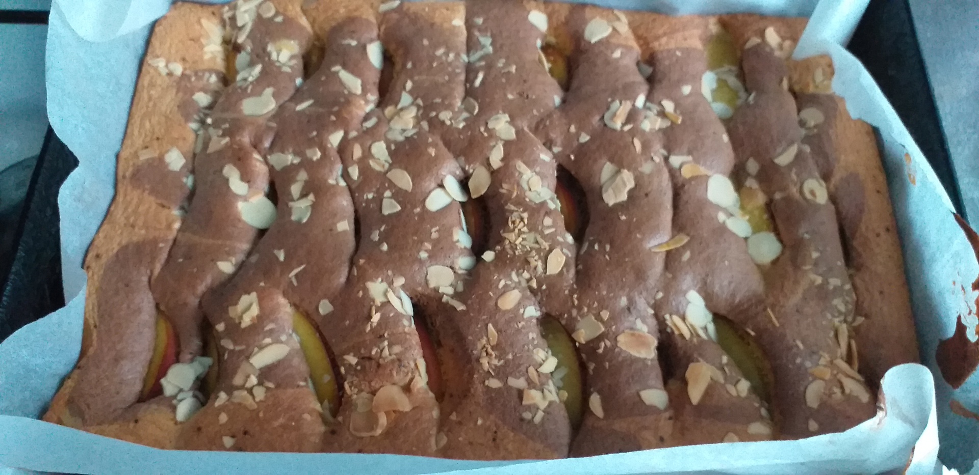 Pandispan zebra cu nectarine