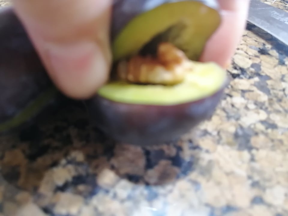 Gomboti cu prune si nuca (galuste cu prune si nuca)