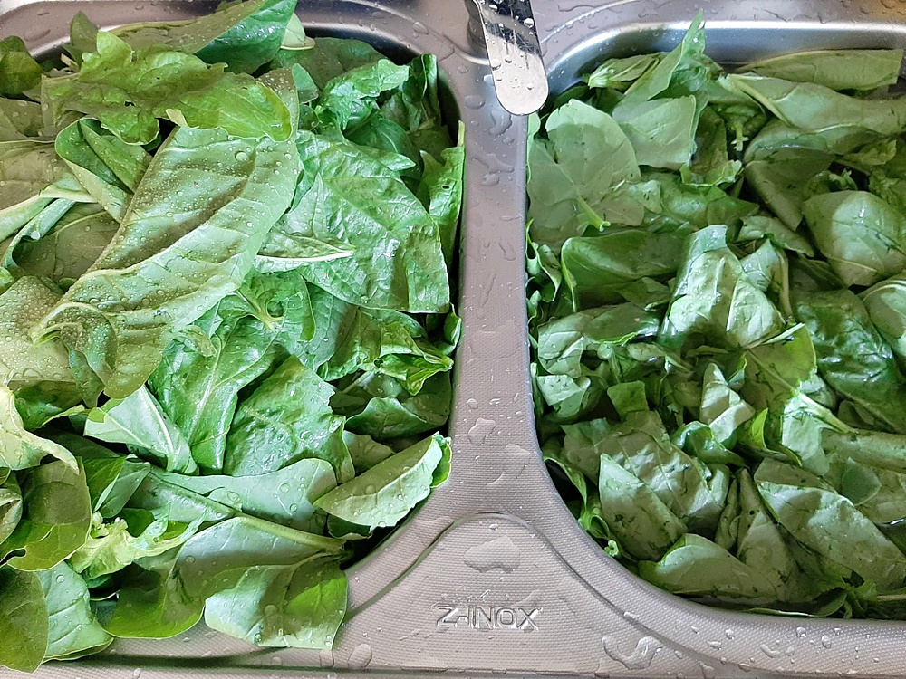 Cum se congeleaza corect spanacul. Cea mai simpla si usoara metoda, pe care orice gospodina trebuie s-o cunoasca