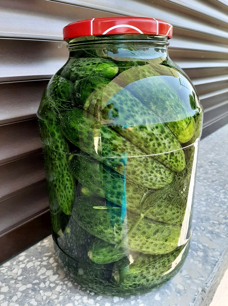 Castraveti murati la soare. Reteta de castraveti covasiti sau castraveti murati de vara