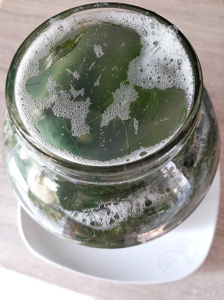 Castraveti murati la soare. Reteta de castraveti covasiti sau castraveti murati de vara