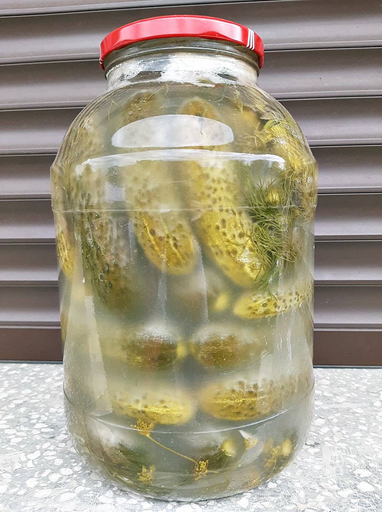 Castraveti murati la soare. Reteta de castraveti covasiti sau castraveti murati de vara