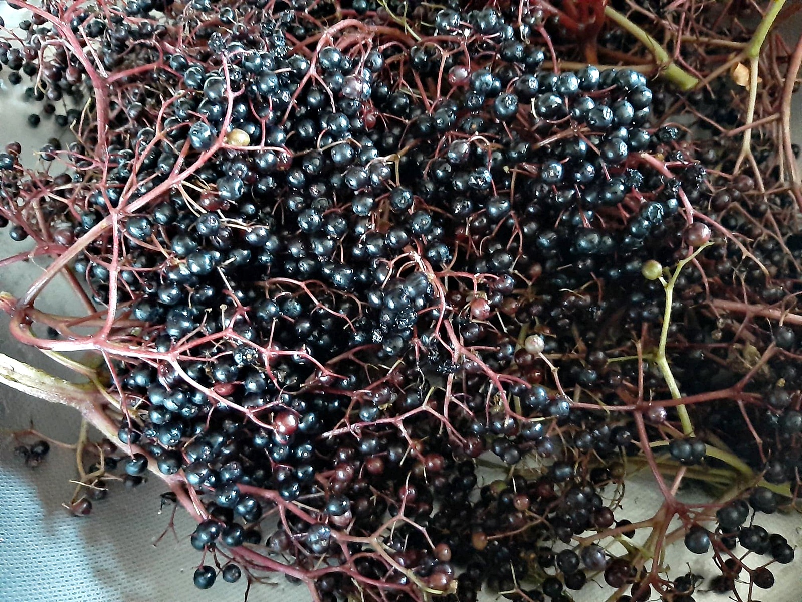 Dulceata din fructe de soc