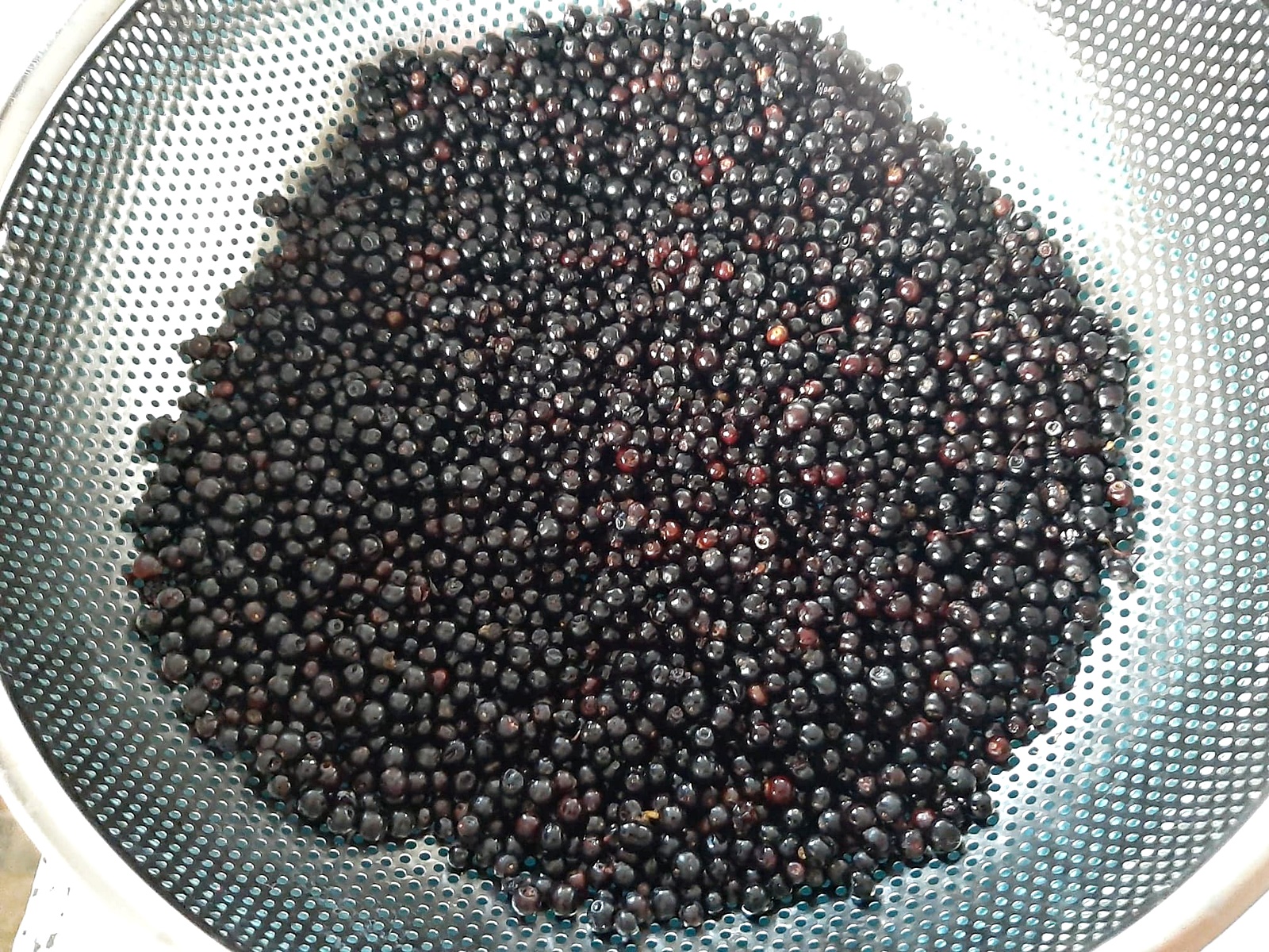 Dulceata din fructe de soc