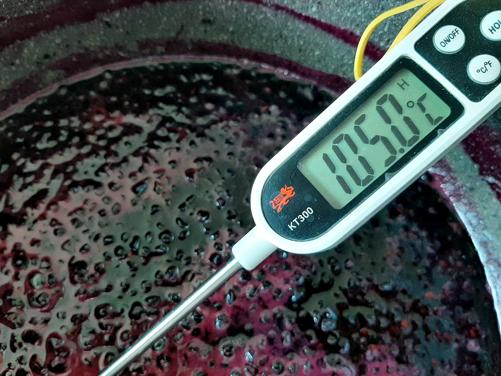 Dulceata din fructe de soc