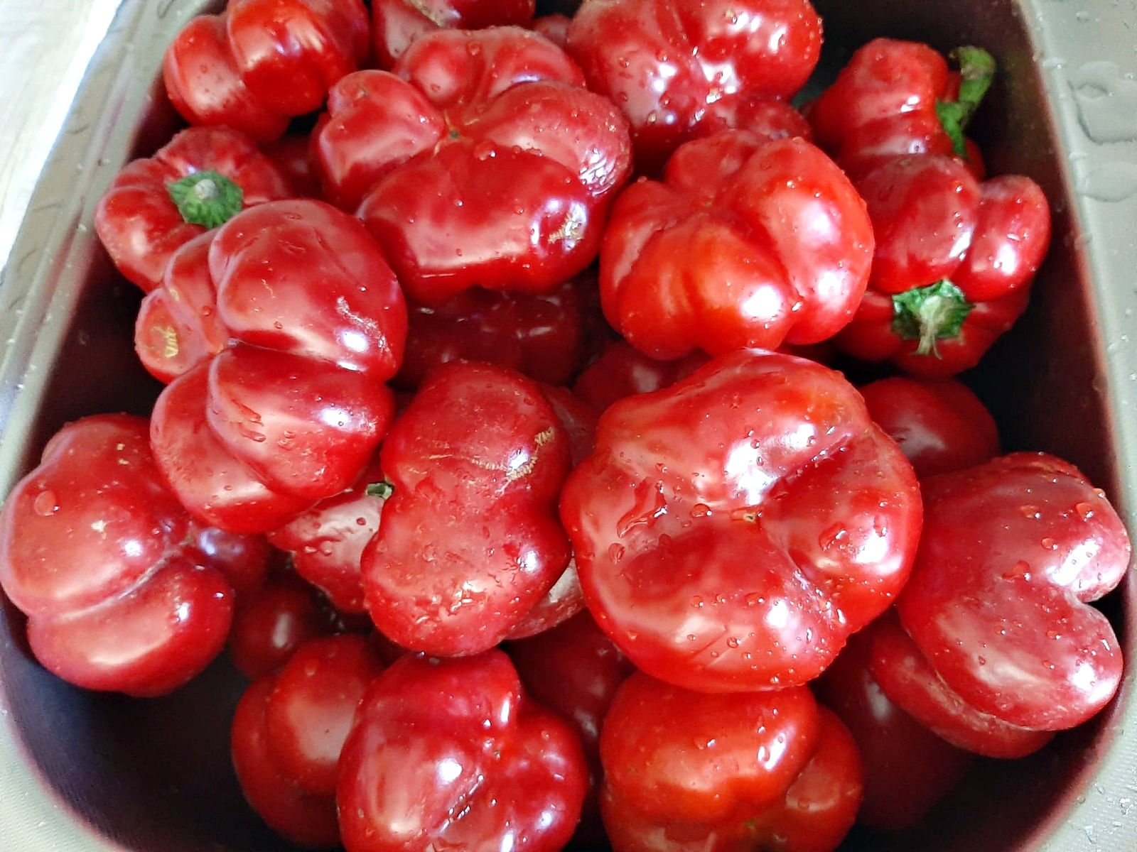 Gogosari in otet pentru iarna. Cea mai simpla si usoara reteta, fara conservanti