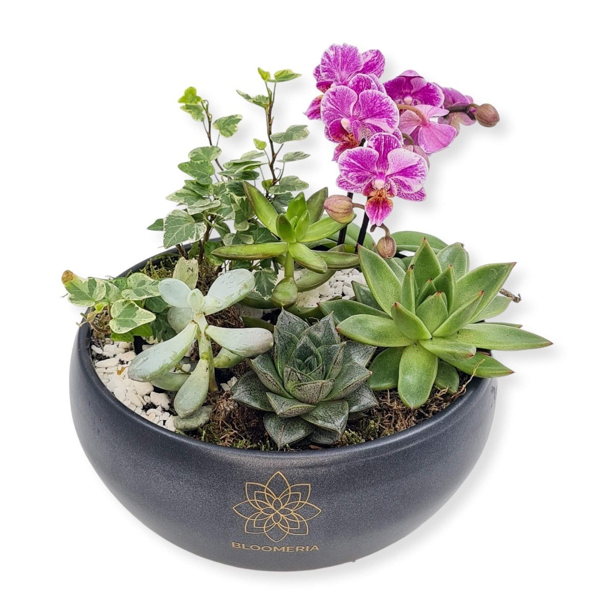 Beneficiile unui buchet de flori în locuința sau biroul nostru