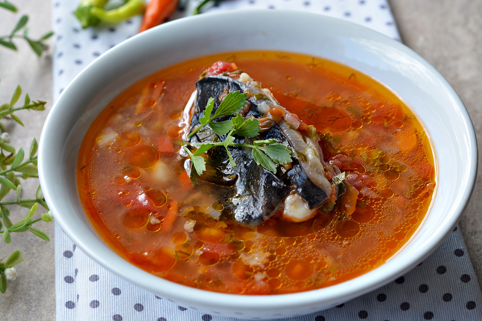 Ciorba de peste ca la Dunare. Cea mai buna reteta