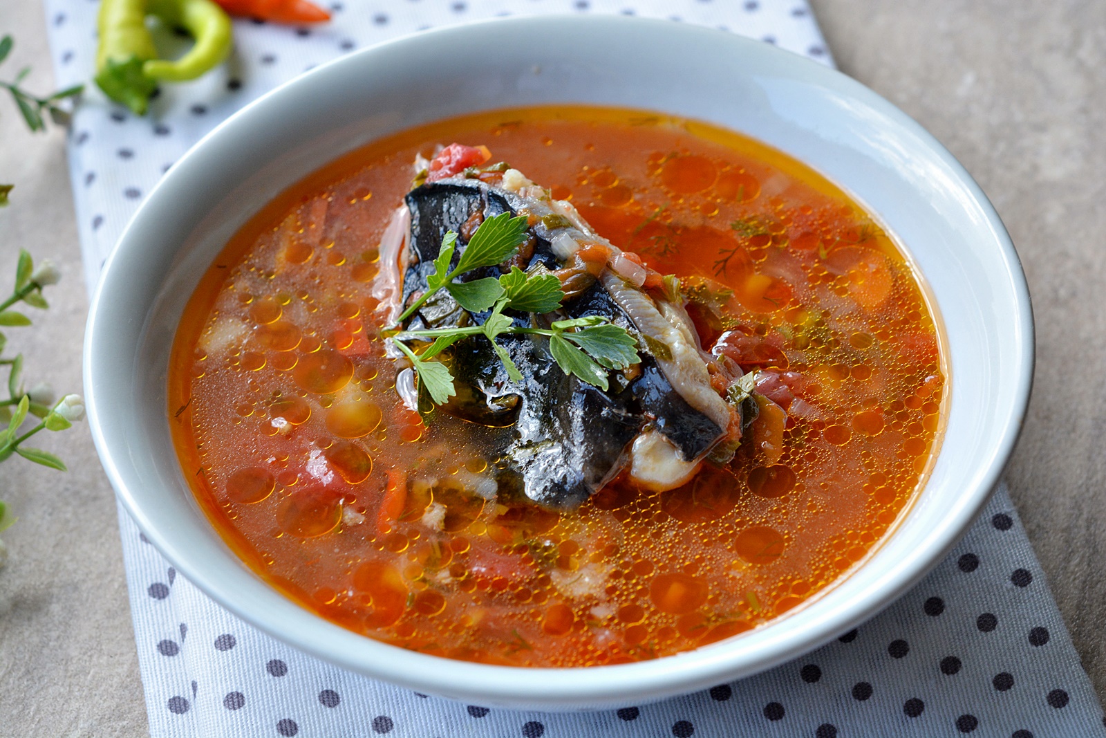 Ciorba de peste ca la Dunare. Cea mai buna reteta