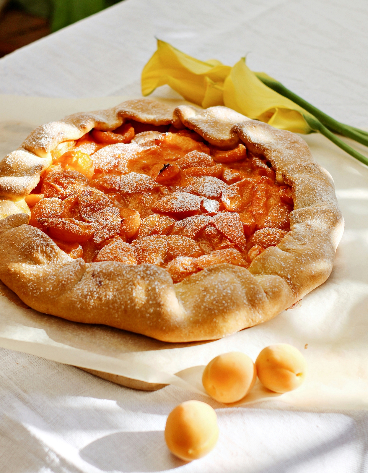 Galette cu caise. Reteta de tarta rustica cu caise