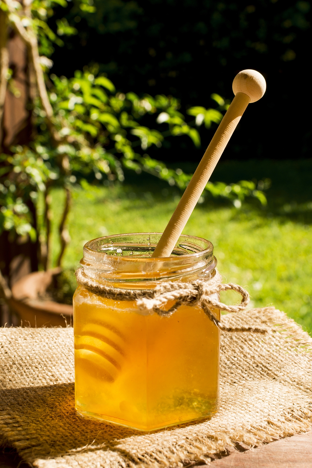 Mierea de albine: proprietati terapeutice si utilizari in alimentatie