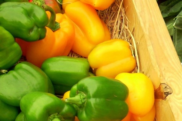 Arde(i) sau nu arde(i)