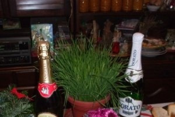 Colac de dat la grinda