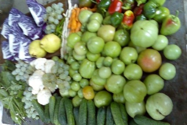 Muraturi asortate pt iarna