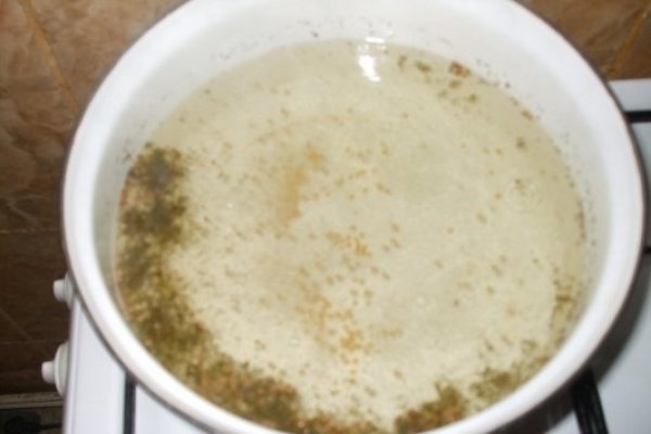 Conopida pentru iarna