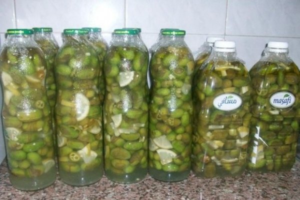 Masline verzi murate