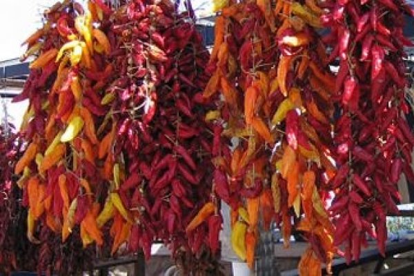 Ardeiul iute - un deliciu picant