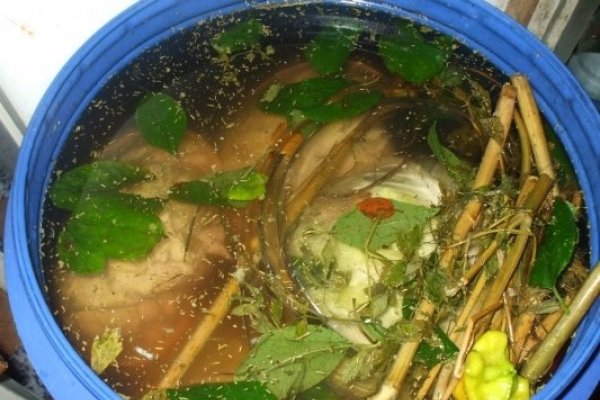 Varza murata la butoi