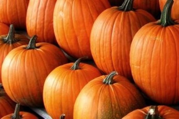 Dovleacul, sanatate cu un gust delicios