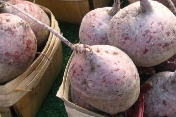 Sfecla rosie, un medicament natural